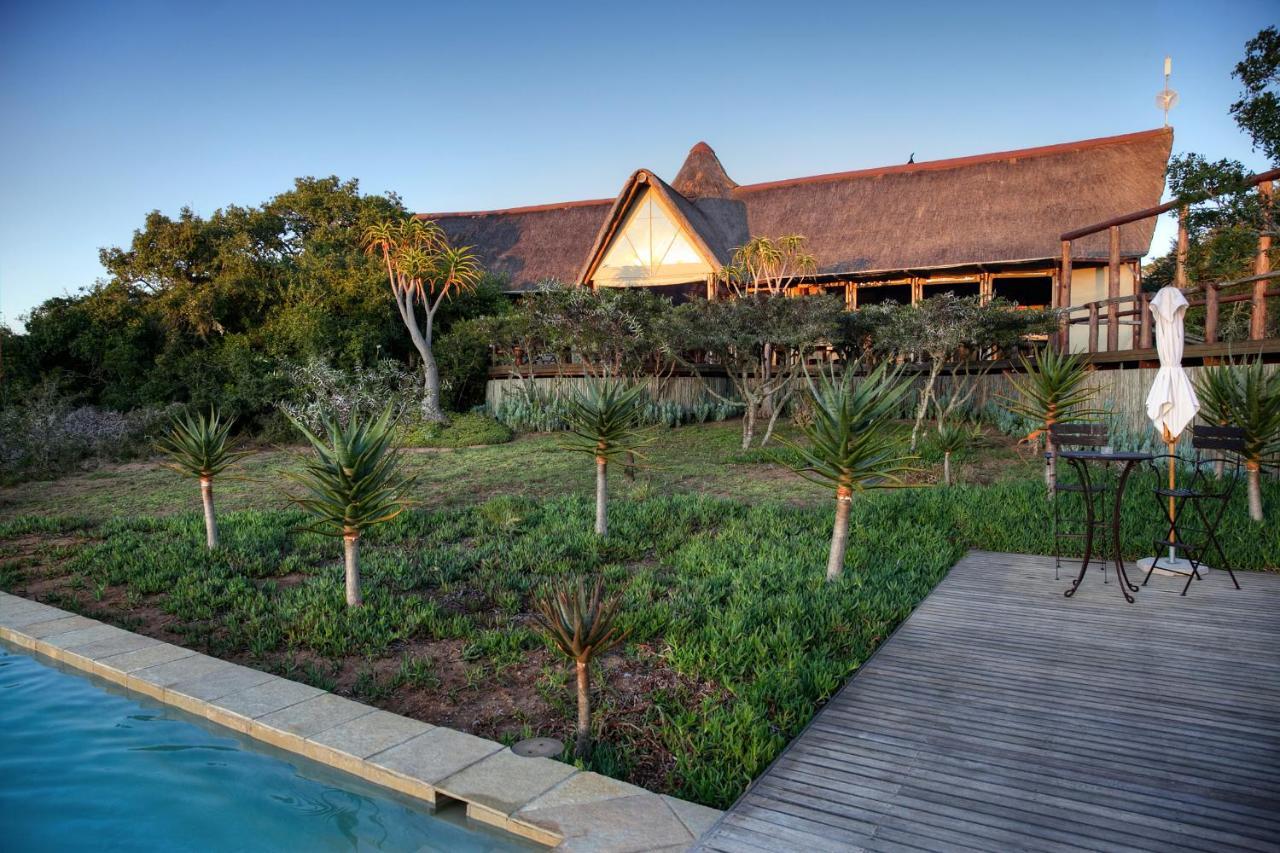 Bush Lodge - Amakhala Game Reserve Exterior photo