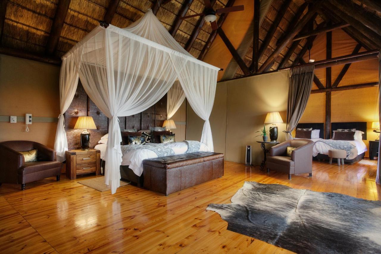 Bush Lodge - Amakhala Game Reserve Room photo