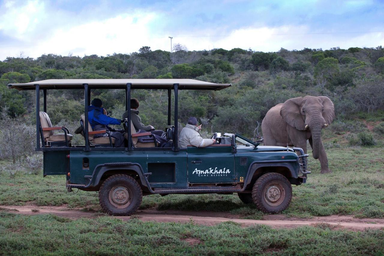 Bush Lodge - Amakhala Game Reserve Exterior photo