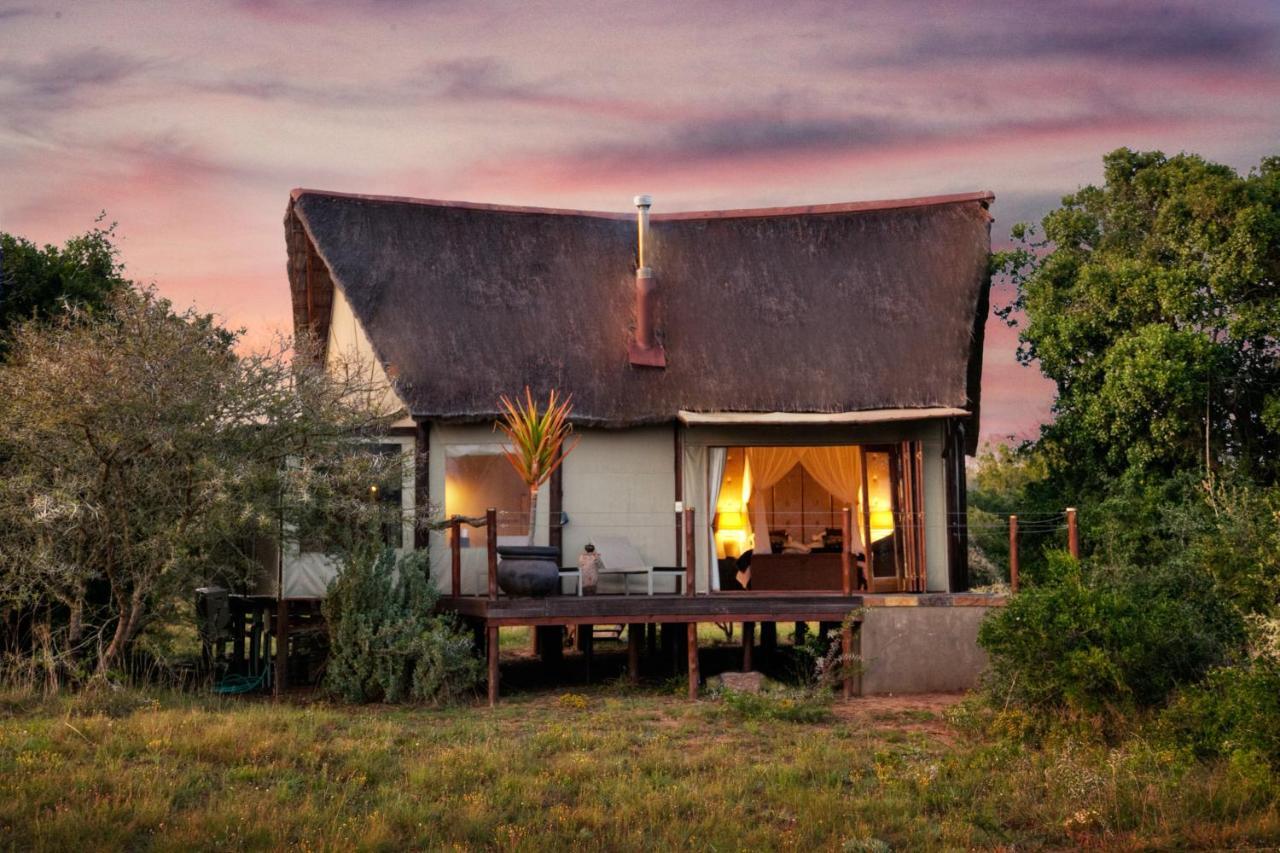 Bush Lodge - Amakhala Game Reserve Exterior photo
