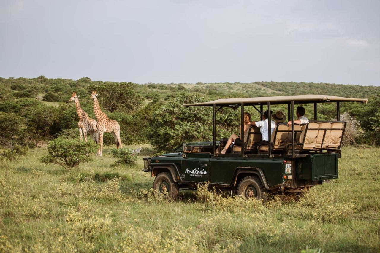 Bush Lodge - Amakhala Game Reserve Exterior photo