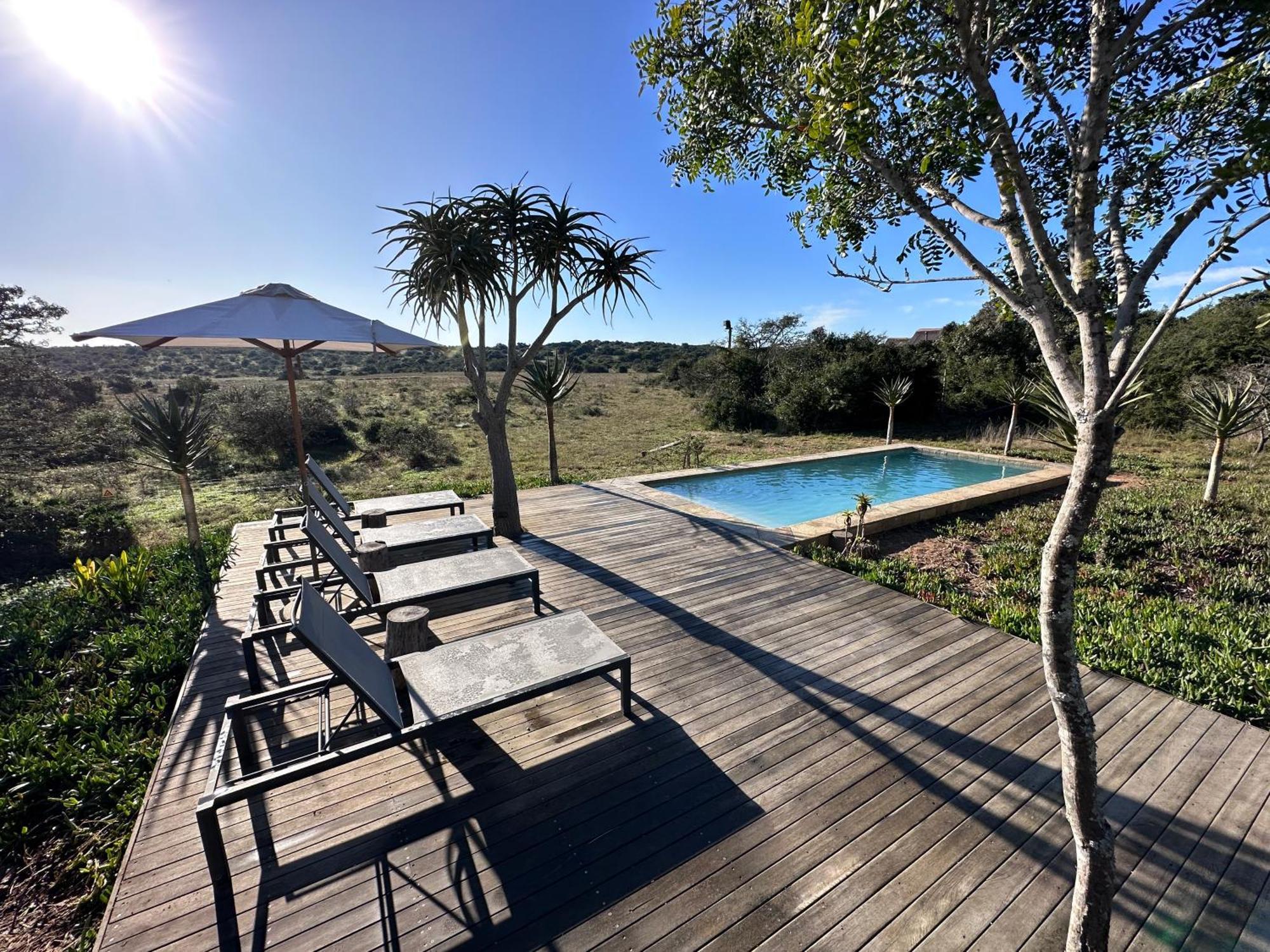 Bush Lodge - Amakhala Game Reserve Exterior photo