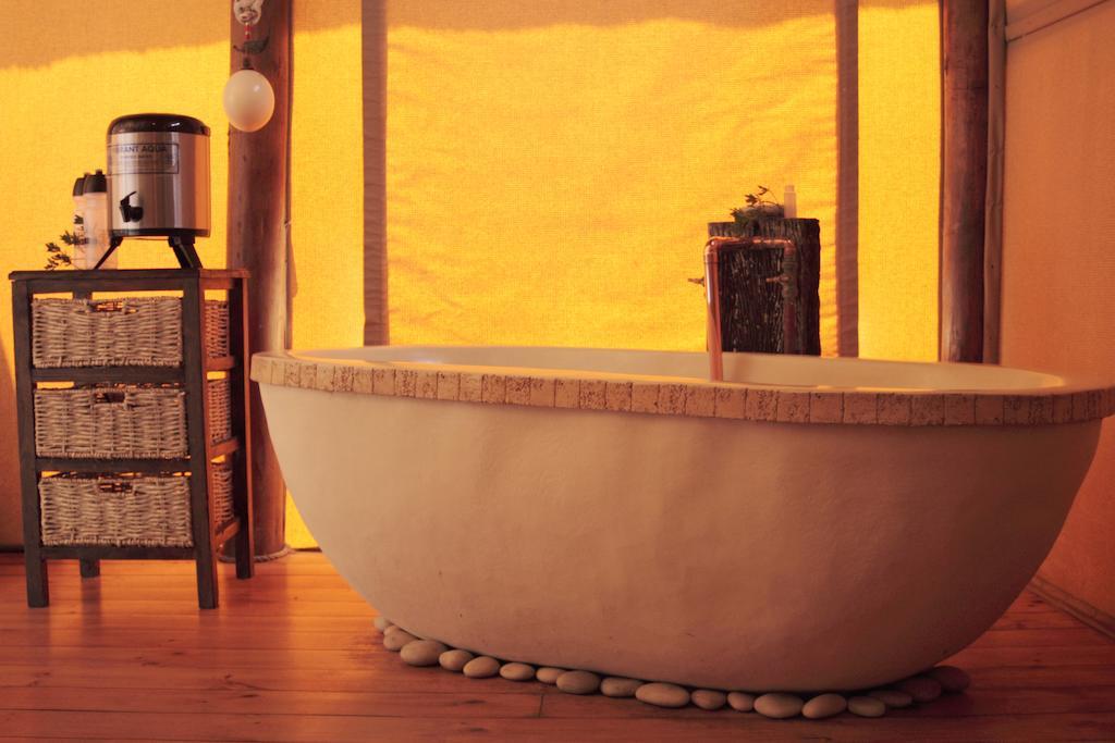 Bush Lodge - Amakhala Game Reserve Room photo