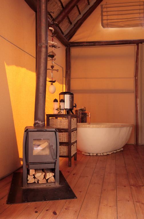 Bush Lodge - Amakhala Game Reserve Room photo