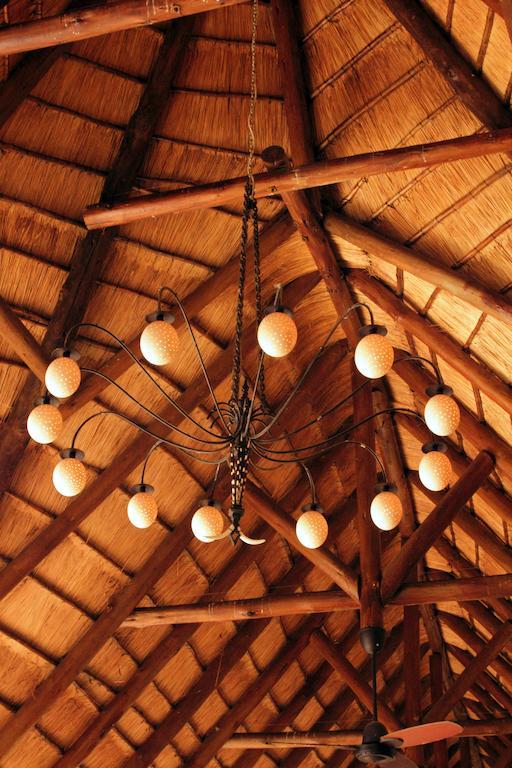Bush Lodge - Amakhala Game Reserve Exterior photo