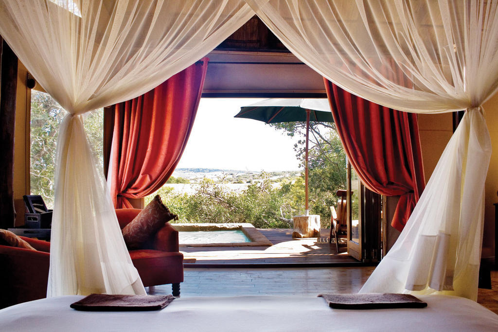 Bush Lodge - Amakhala Game Reserve Room photo