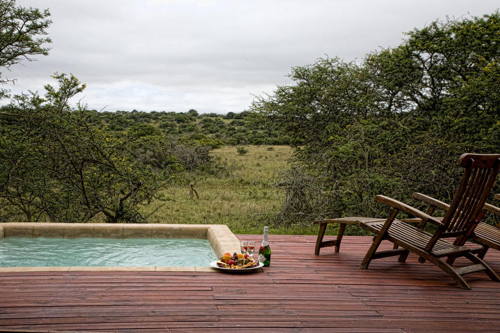Bush Lodge - Amakhala Game Reserve Room photo