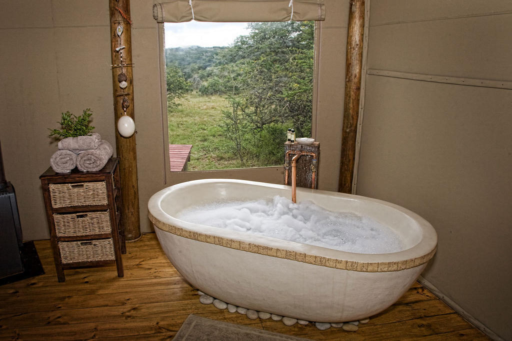 Bush Lodge - Amakhala Game Reserve Room photo